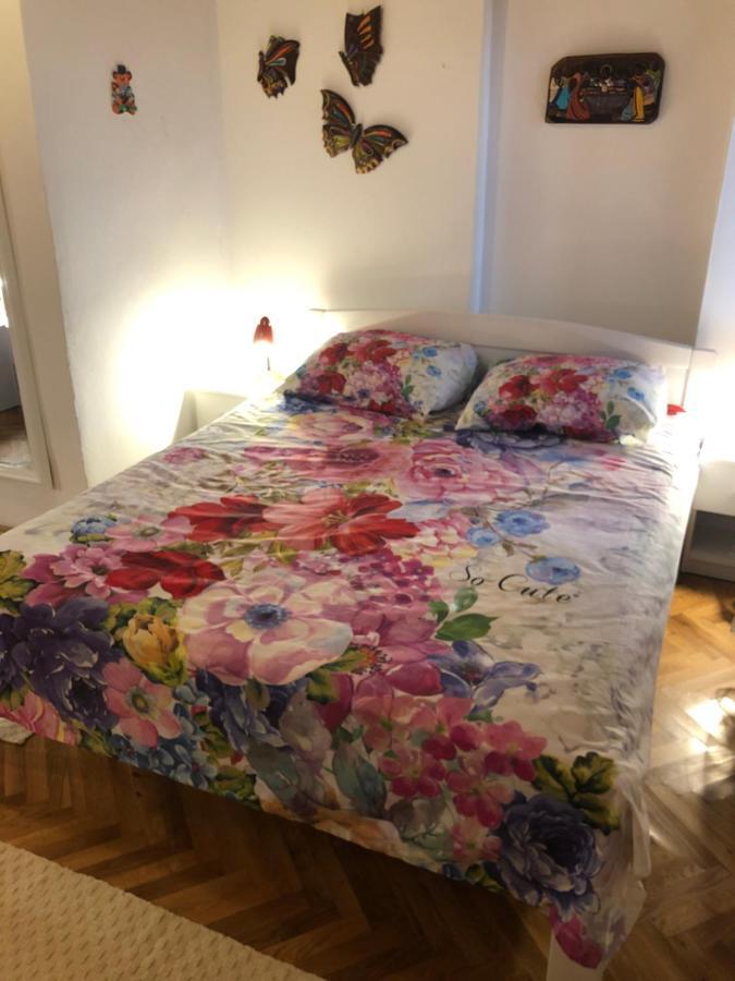 Studio Villa Mattossi Rovinj Dış mekan fotoğraf